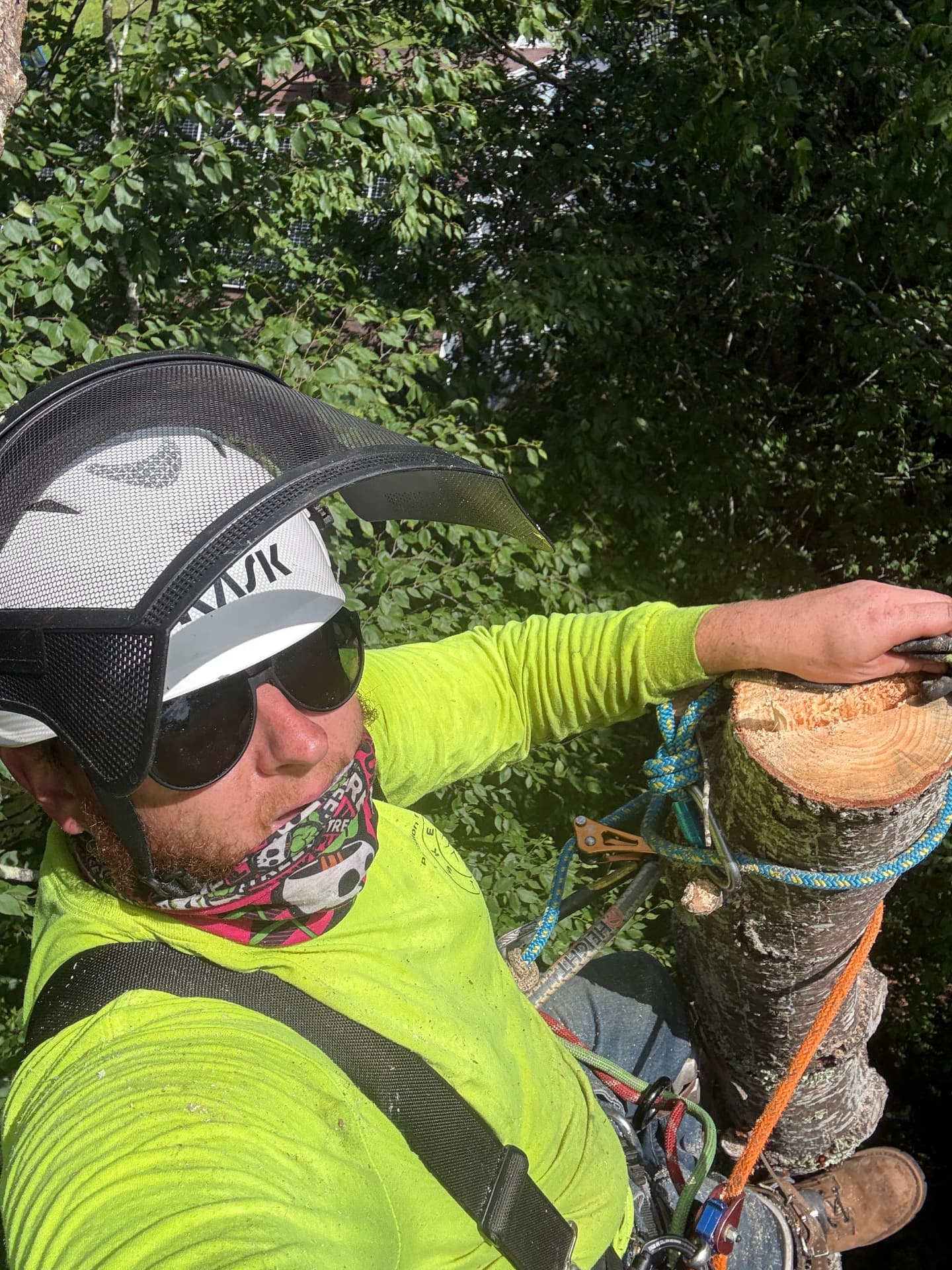 Tight Rigging on a Backyard Removal — Rochester, NH