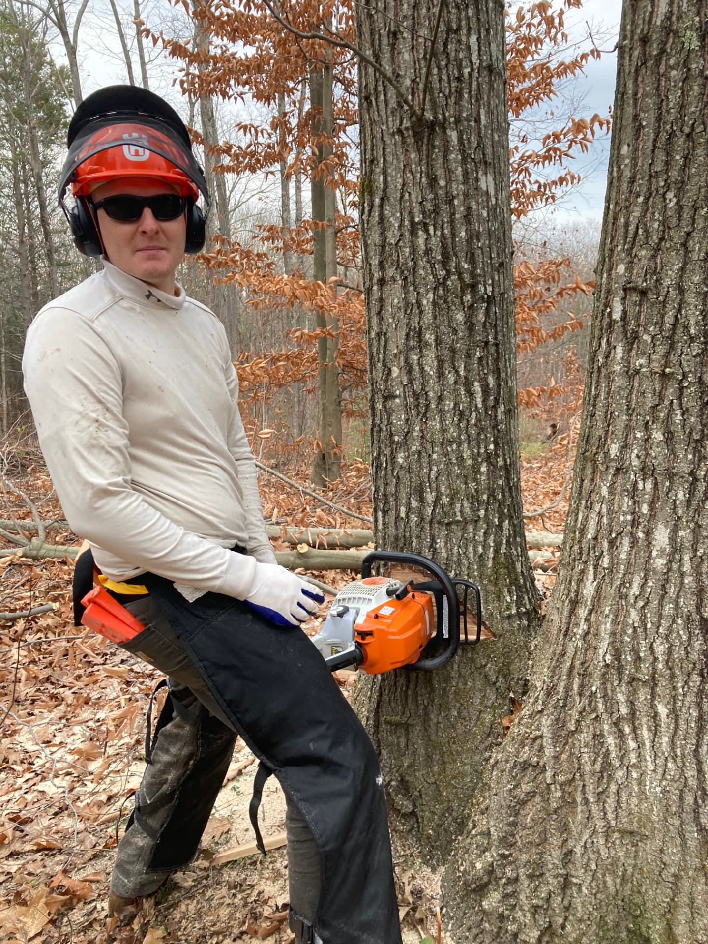 Devon Skerry cutting a tree with a chainsaw in a New Hampshire woodlot