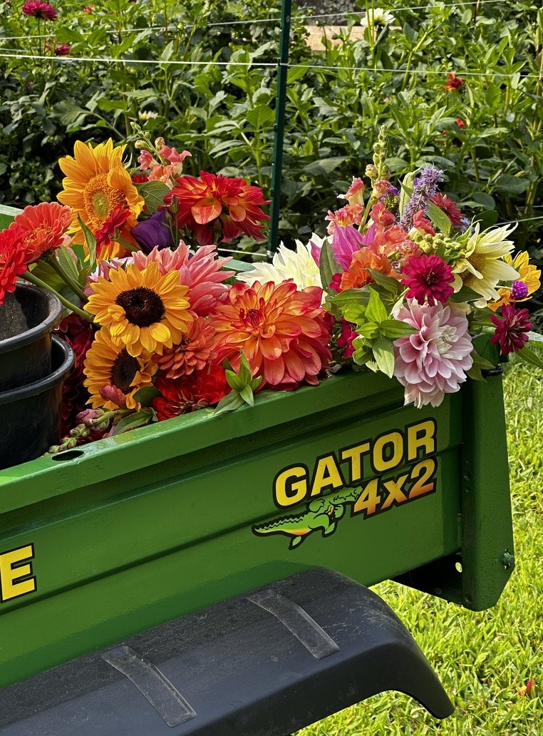 Fresh-Cut Flowers