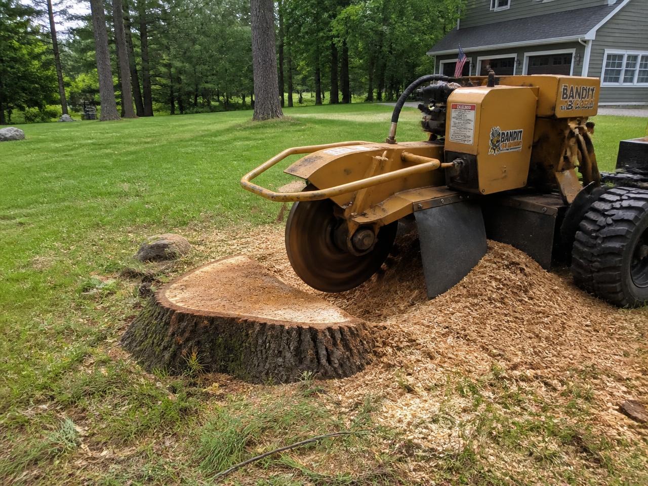 Stump & Debris Removal